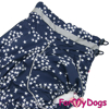 Afbeeldingen van ForMyDogs TDW0173-2023K Male Dachshund