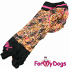 Afbeeldingen van ForMyDogs  TDW0369-2025Т F Female Dachshund