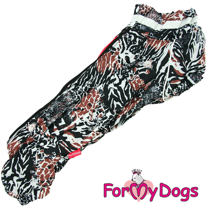 Afbeeldingen van ForMyDogs  TDW0362-2025T F* Female Dachshund