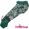 Afbeeldingen van ForMyDogs  TDW0246-2024T Male Dachshund