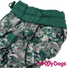 Afbeeldingen van ForMyDogs  TDW0246-2024T Male Dachshund