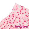 Afbeeldingen van ForMyDogs TDSS0135-2026 Female