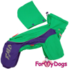 Afbeeldingen van ForMyDogs TDSS0126-2026 F Female