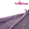 Afbeeldingen van ForMyDogs TDSS0130T Female Dachshund