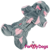 Afbeeldingen van ForMyDogs  TDW0483-2026 F female pre order