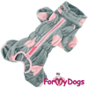 Afbeeldingen van ForMyDogs  TDW0483-2026 F female pre order