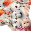 Afbeeldingen van ForMyDogs  TDW0468-2026 M Male  Pre order