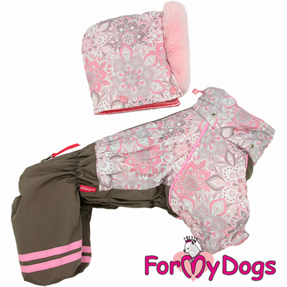 Afbeeldingen van ForMyDogs  TDW0441-2026 F Female  Pre order