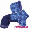 Afbeeldingen van ForMyDogs  TDW0440-2026 F Female  Pre order