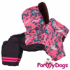 Afbeeldingen van ForMyDogs  TDW0237-2024 Female