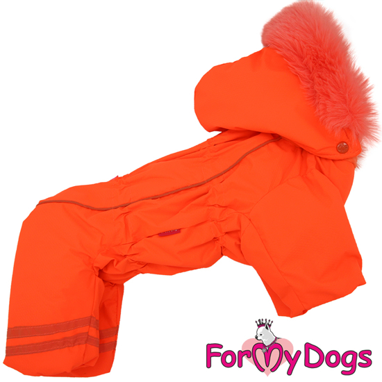Afbeeldingen van ForMyDogs  TDW0277-2024 F Female