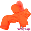 Afbeeldingen van ForMyDogs  TDW0277-2024 F Female