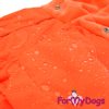 Afbeeldingen van ForMyDogs  TDW0277-2024 F Female