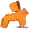Afbeeldingen van ForMyDogs  Linda Female