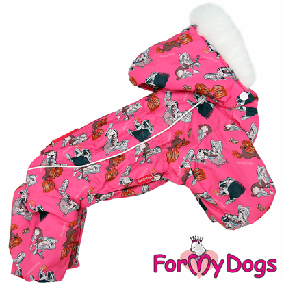 Afbeeldingen van ForMyDogs  Shelby  Female
