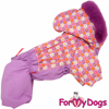 Afbeeldingen van ForMyDogs  Shoeby  Female