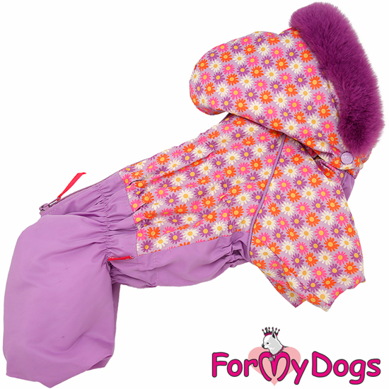 Afbeeldingen van ForMyDogs  Shoeby  Female
