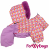 Afbeeldingen van ForMyDogs  Shoeby  Female