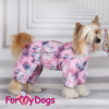 Afbeeldingen van ForMyDogs   TDW0242-2024 F Famale