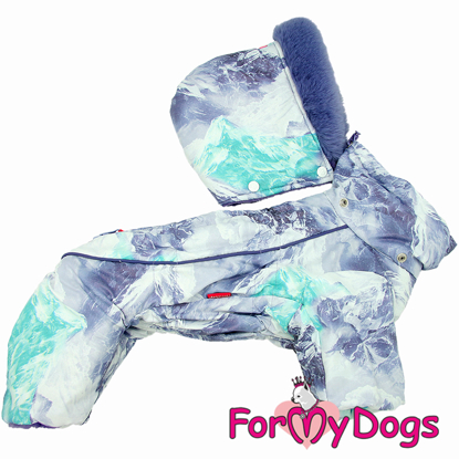 Afbeeldingen van ForMyDogs TDW0442-2026 F Female  Pre order