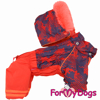 Afbeeldingen van ForMyDogs TDW0438-2026 F Female  Pre order