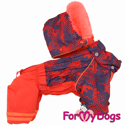 Afbeeldingen van ForMyDogs TDW0438-2026 F Female  Pre order