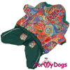 Afbeeldingen van ForMyDogs   TDW0473-2026 F Female Pre Order